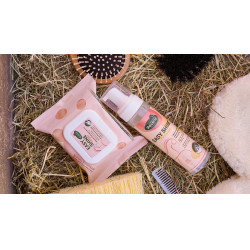 Easy Shine Wipe Ravene Reinigungstücher