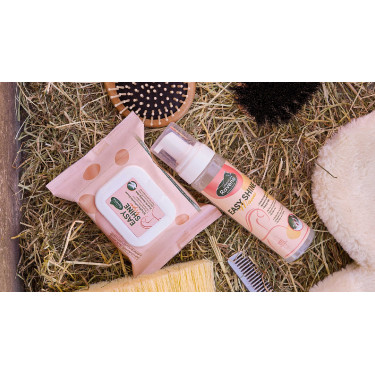 Easy Shine Wipe Ravene Reinigungstücher