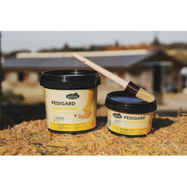 Pediguard Ravene Blond-Salbe Pediguard Ravene Blond-Salbe