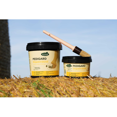 Pediguard Ravene Blond-Salbe Pediguard Ravene Blond-Salbe