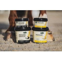 Pediguard Ravene Blond-Salbe Pediguard Ravene Blond-Salbe