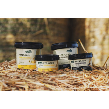 Pediguard Ravene Blond-Salbe Pediguard Ravene Blond-Salbe