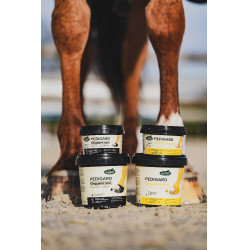 Pediguard Ravene Blond-Salbe Pediguard Ravene Blond-Salbe