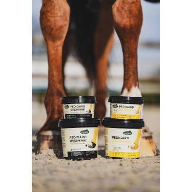 Pediguard Ravene Blond-Salbe Pediguard Ravene Blond-Salbe