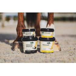 Pediguard Ravene Blond-Salbe Pediguard Ravene Blond-Salbe