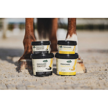Pediguard Ravene Blond-Salbe Pediguard Ravene Blond-Salbe