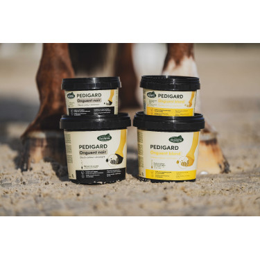 Pediguard Ravene Blond-Salbe Pediguard Ravene Blond-Salbe