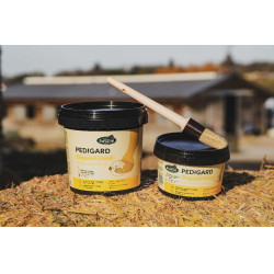 Pediguard Ravene Blond-Salbe Pediguard Ravene Blond-Salbe