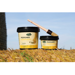 Pediguard Ravene Blond-Salbe Pediguard Ravene Blond-Salbe