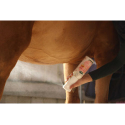 Easy Shine Intense Ravene Nachfüllpack