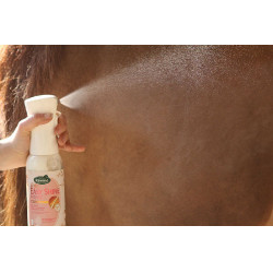 Easy Shine Intense Ravene