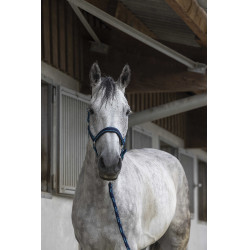 Halfter + Führstrick Equitheme Satiniert Marine / Türkis Blau