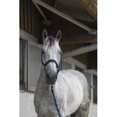 Halfter + Führstrick Equitheme Satiniert Marine / Türkis Blau