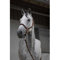 Halfter + Führstrick Equitheme Satiniert Marine / Türkis Blau
