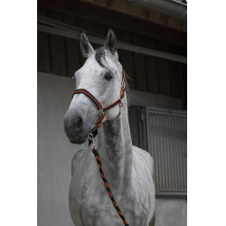 Halfter + Führstrick Equitheme Satiniert Schwarz / Orange Mehrfarbig Halfter + Führstrick Equitheme Satiniert Schwarz / Orange Mehrfarbig