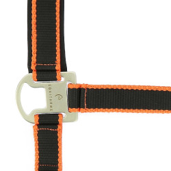 Halfter + Führstrick Equitheme Satiniert Schwarz / Orange Mehrfarbig Halfter + Führstrick Equitheme Satiniert Schwarz / Orange Mehrfarbig