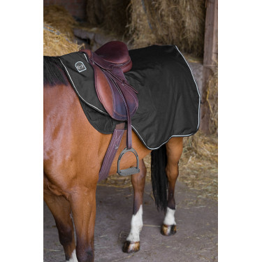 Wasserfeste Riding World Nierendecke mit Fleece-Futter