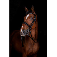 Eric Thomas Elite Trensenzügel 16 mm Schwarz