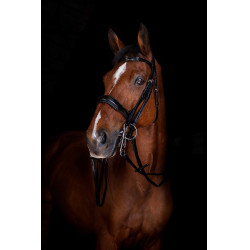 Zügel für Kandarenzaum Eric Thomas Elite 13 mm Schwarz