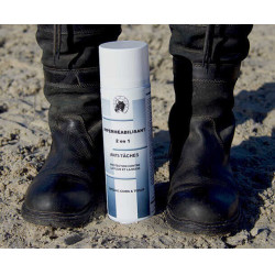 2-in-1 schmutzabweisende Imprägnierung von Maréchal