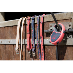 Nylon-Halsband Diego & Louna für Hunde