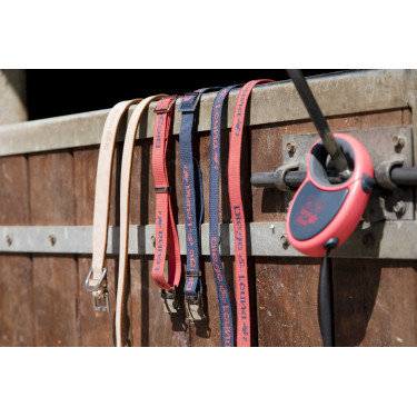 Nylon-Halsband Diego & Louna für Hunde