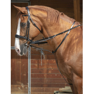 Norton Pro Thiedeman Hilfszügel Schwarz Norton Pro Thiedeman Hilfszügel Schwarz