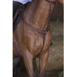 Elastischer Martingalstopper Norton Pro Havanna Braun