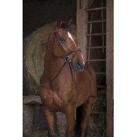 Gummizügel Norton Pro Havanna Braun Gummizügel Norton Pro Havanna Braun