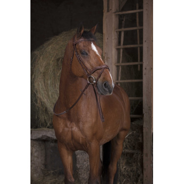 Gummizügel Norton Pro Havanna Braun Gummizügel Norton Pro Havanna Braun