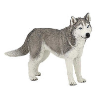 Figurine Husky de Sibérie Papo