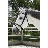 Bridon Norton Pro Kombiniert Schwarz