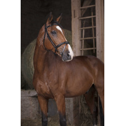 Bridon Norton Pro Kombiniert Schwarz Bridon Norton Pro Kombiniert Schwarz