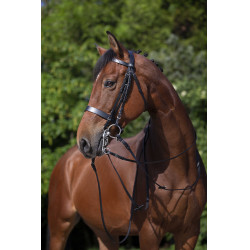 Zaum Riding World Schwarz