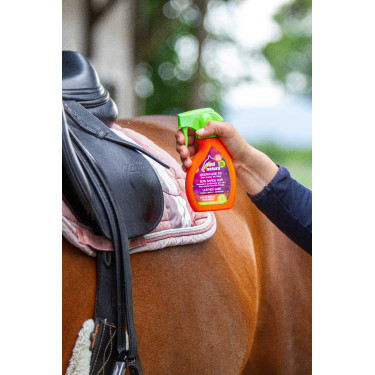 Schnelle Lederpflege Equinatura