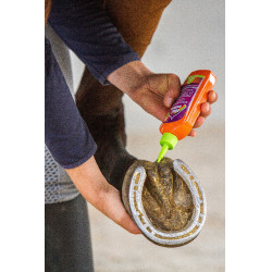 Strahlenschutz Equinatura