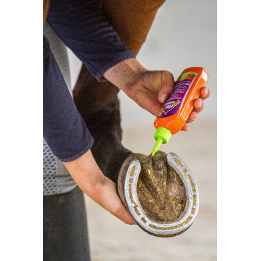 Strahlenschutz Equinatura