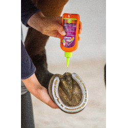 Strahlenschutz Equinatura