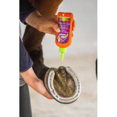 Strahlenschutz Equinatura