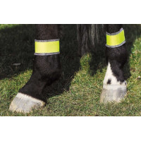 Reflektierende gelbe Bandagen für Hinterbeine