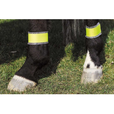 Reflektierende gelbe Bandagen für Hinterbeine Reflektierende gelbe Bandagen für Hinterbeine
