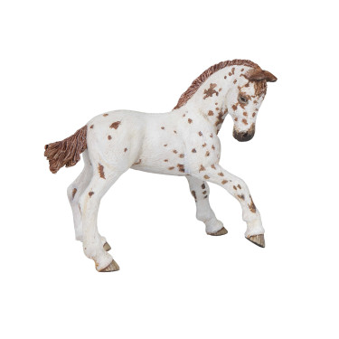 Appaloosa-Fohlen Figur Papo