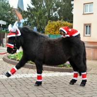 Weihnachts-Mütze Ohren in Rentiergeweih-Form