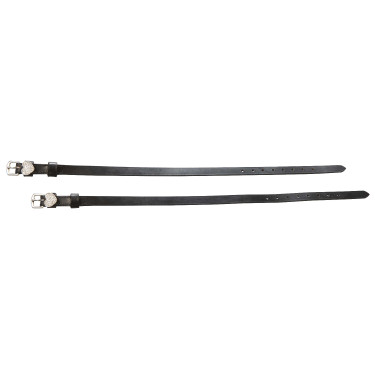 Sporenriemen Riding World Cœur