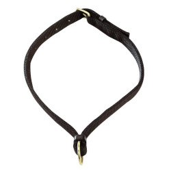 Pferdehalsband Norton