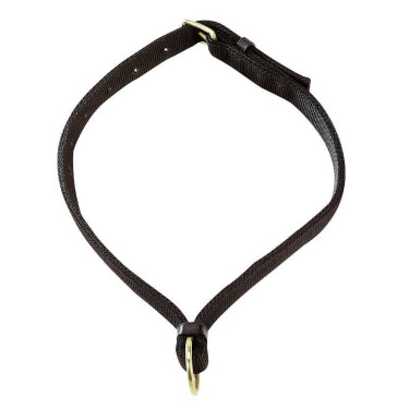 Pferdehalsband Norton