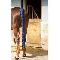 Schweifschoner Norton Doudoune lang Schweifschoner Norton Doudoune lang