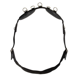 Arbeitslonge Riding World synthetisch Arbeitslonge Riding World synthetisch