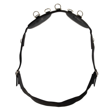 Arbeitslonge Riding World synthetisch Arbeitslonge Riding World synthetisch