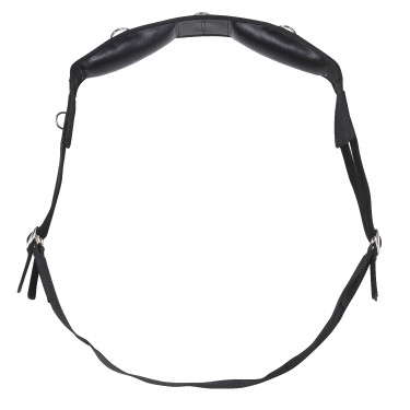 Arbeitslonge Riding World synthetisch Arbeitslonge Riding World synthetisch